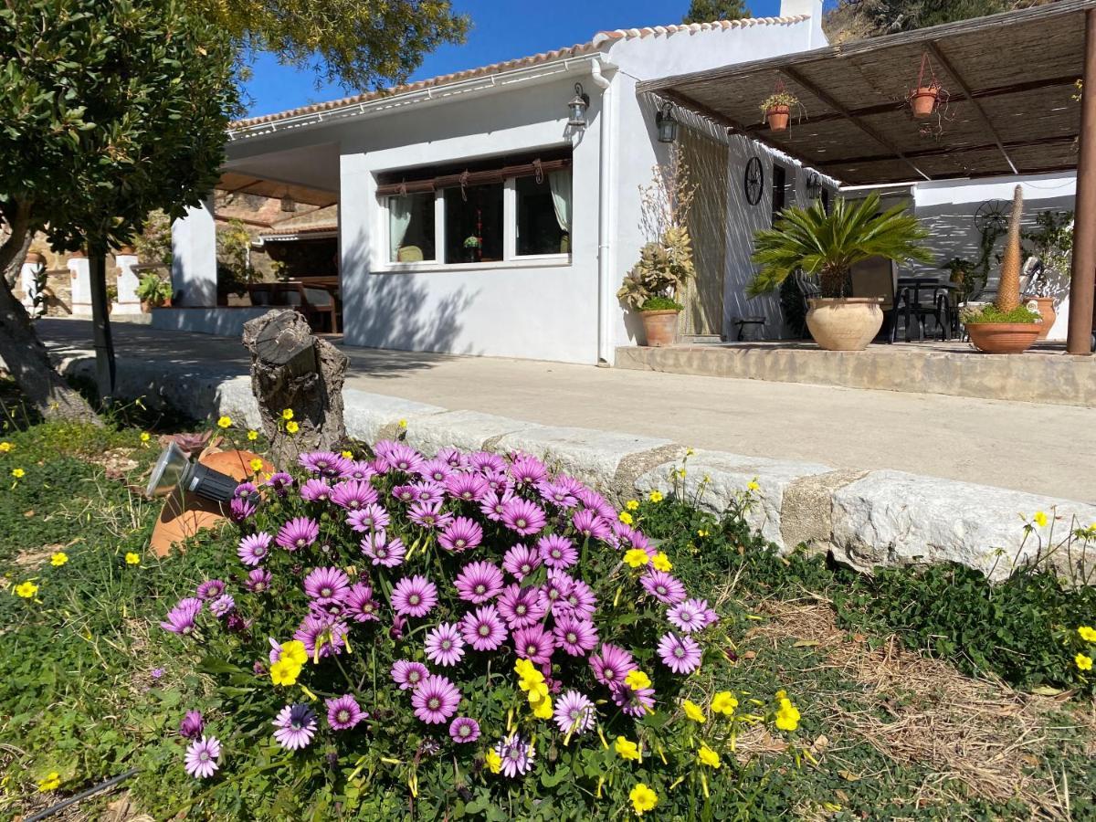 Villa Casa El Saladillo Valle de Abdalagís Exterior foto